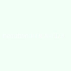 Headbands Model 3 Pro