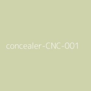 Concealer Model 1 Deluxe