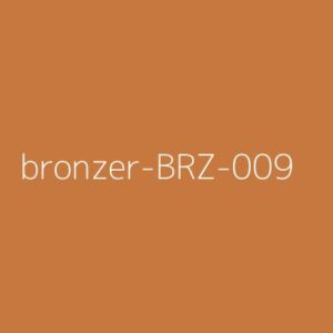 Bronzer Model 9 Pro