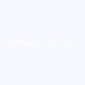 Headbands Model 4 Pro