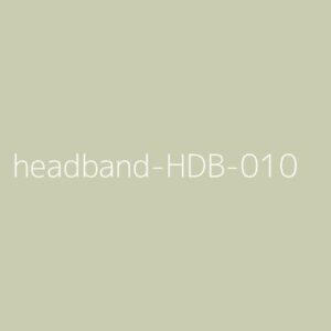 Headbands Model 10 Pro