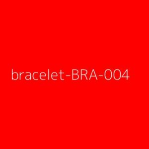 Bracelets Model 4 Pro