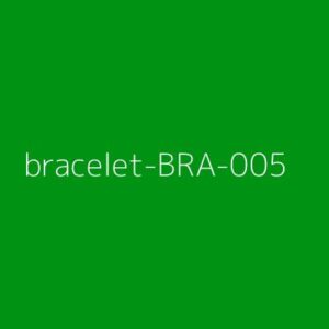 Bracelets Model 5 Pro