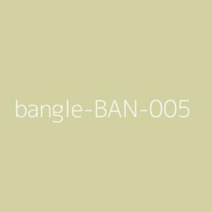 Bangles Model 5 Pro