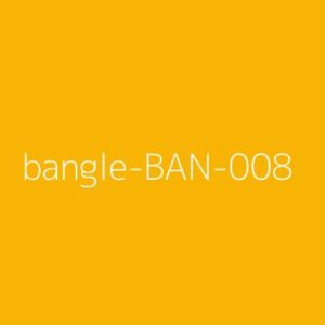 Bangles Model 8 Pro